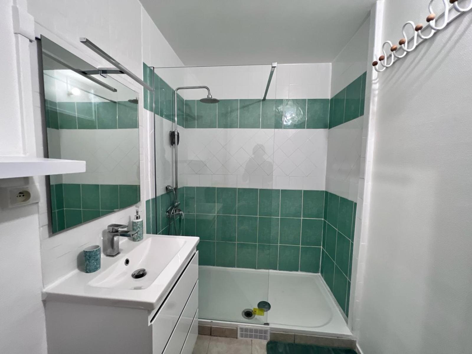 Appartement Au Duleing House Orleans Exterior photo