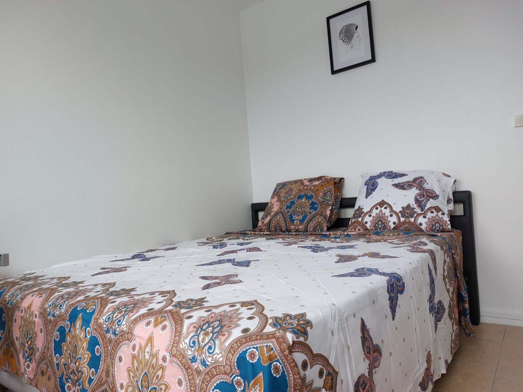 Appartement Au Duleing House Orleans Exterior photo