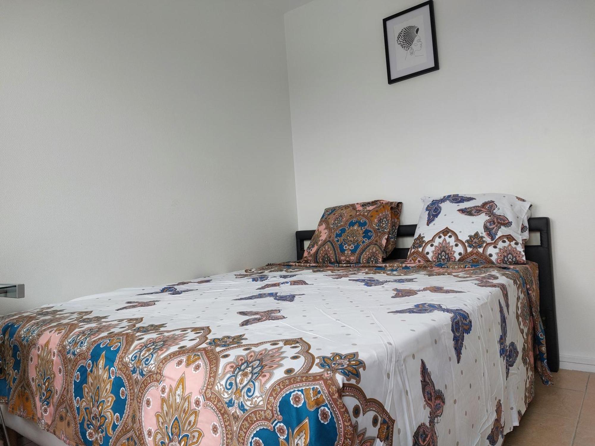 Appartement Au Duleing House Orleans Exterior photo