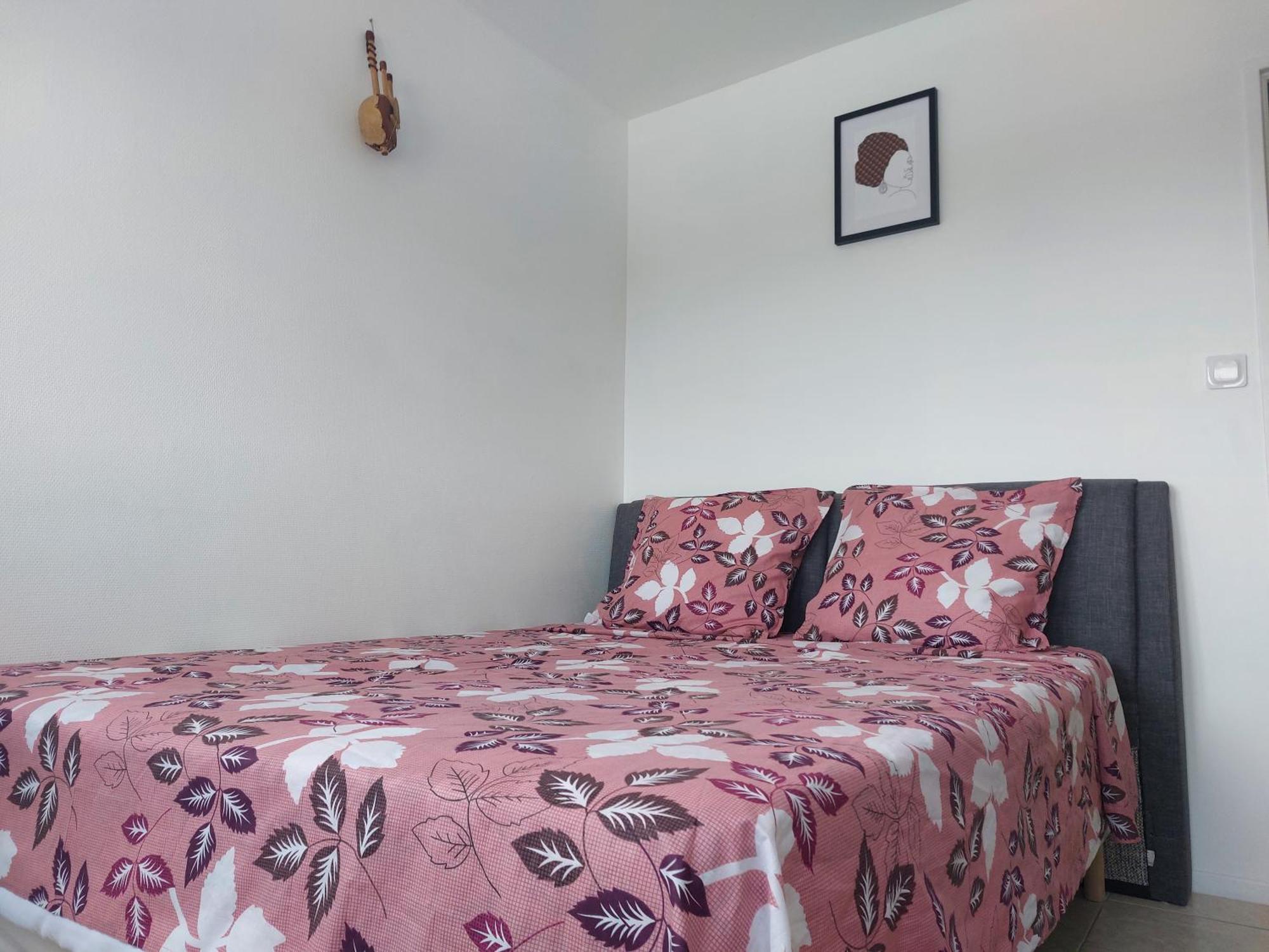 Appartement Au Duleing House Orleans Exterior photo